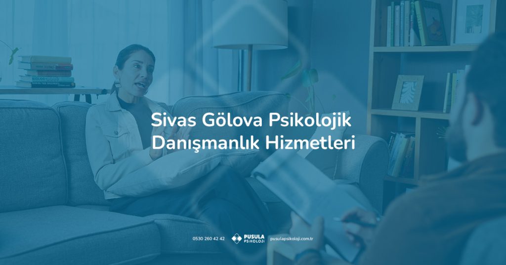 Sivas Gölova bölgesinde uzman psikolojik danışman eşliğinde bireysel destek ve rehberlik görüşmesi alan danışan