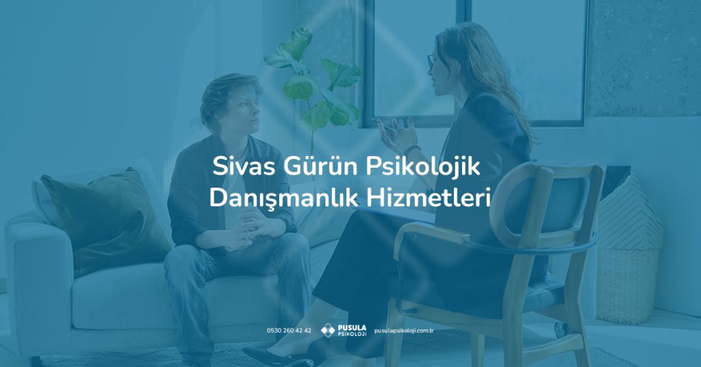 Sivas Gürün psikolojik danışmanlık hizmeti kapsamında uzman ile koltukta iletişim kuran danışan.