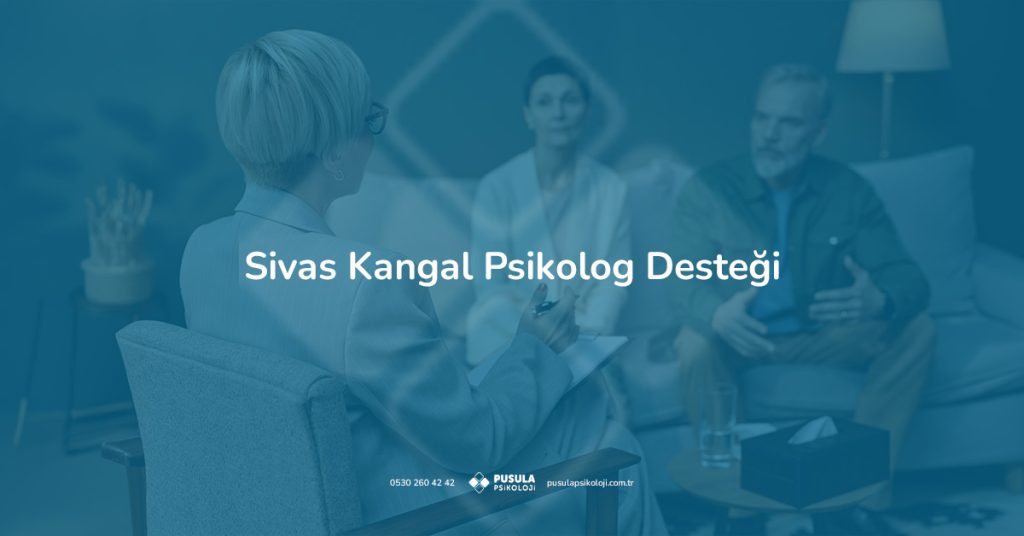 Sivas Kangal bölgesinde bireysel, çocuk, ergen ve aile için psikolojik danışmanlık hizmeti sunan uzman ile görüşme anı.